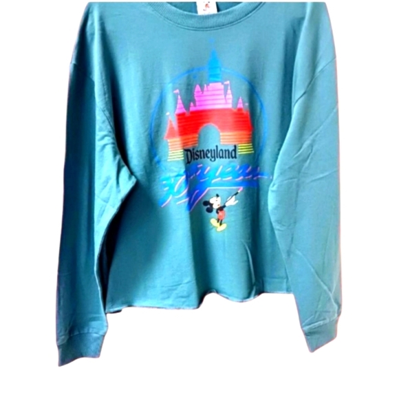 Disney Tops - DISNEY PARKS VINTAGE 30 YEAR CELEBRATION SWEATSHIRT! NWT Size XL